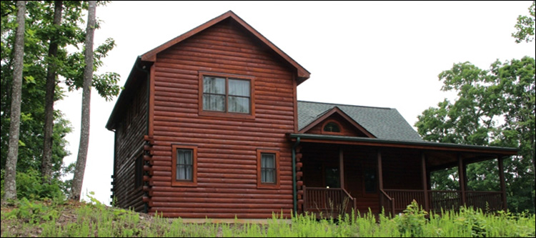 Professional Log Home Borate Application  Woodland,  North Carolina